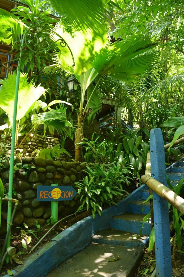 Hotel Luna Llena Nicoya Kültér fotó