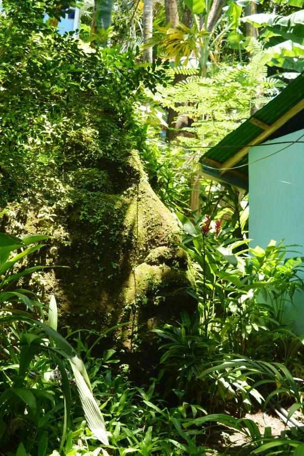 Hotel Luna Llena Nicoya Kültér fotó